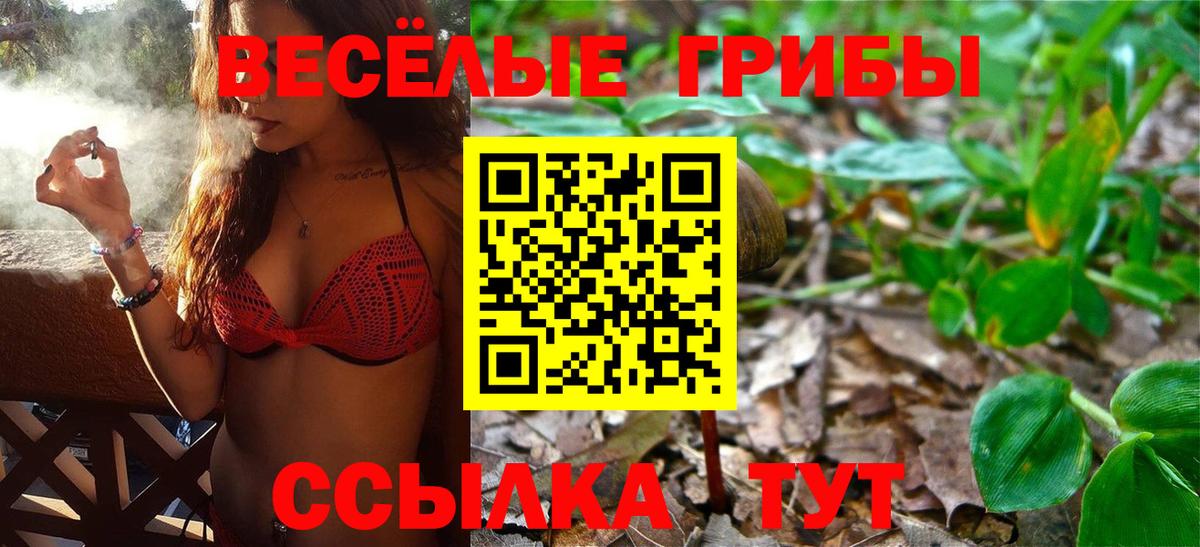 Галлюциногенные грибы Psilocybe  Галлюциногенные грибы Cubensis  Вход с VPN  Анапа 