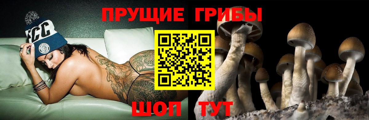 Галлюциногенные грибы мухоморы Анапа